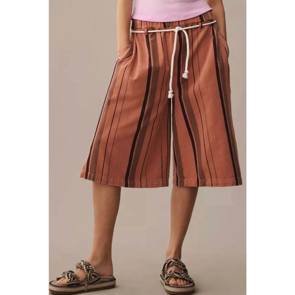 Anthropologie NWT Pilcro Striped Shorts size L